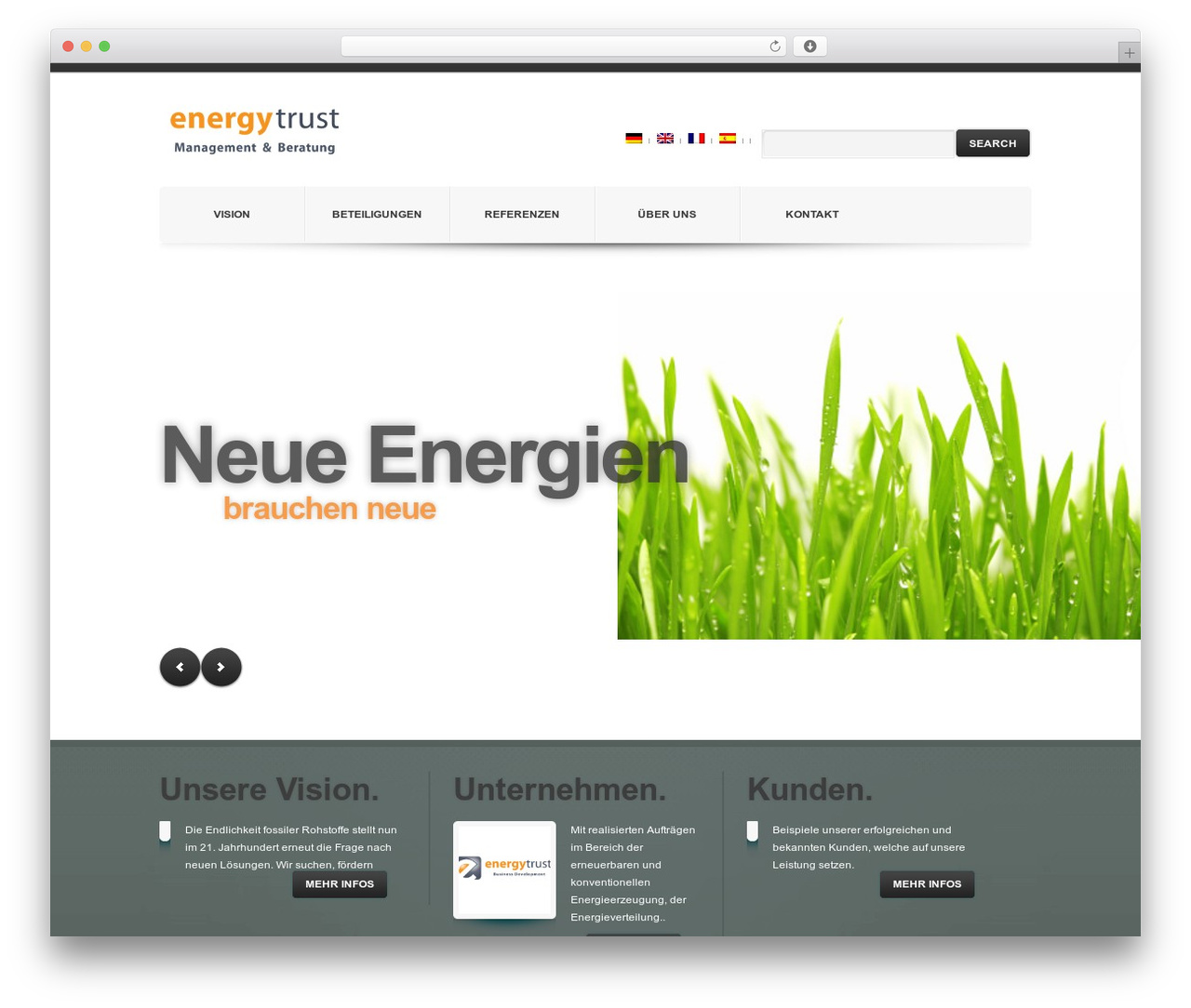 Theme WordPress theme1491 - energy-trust.de