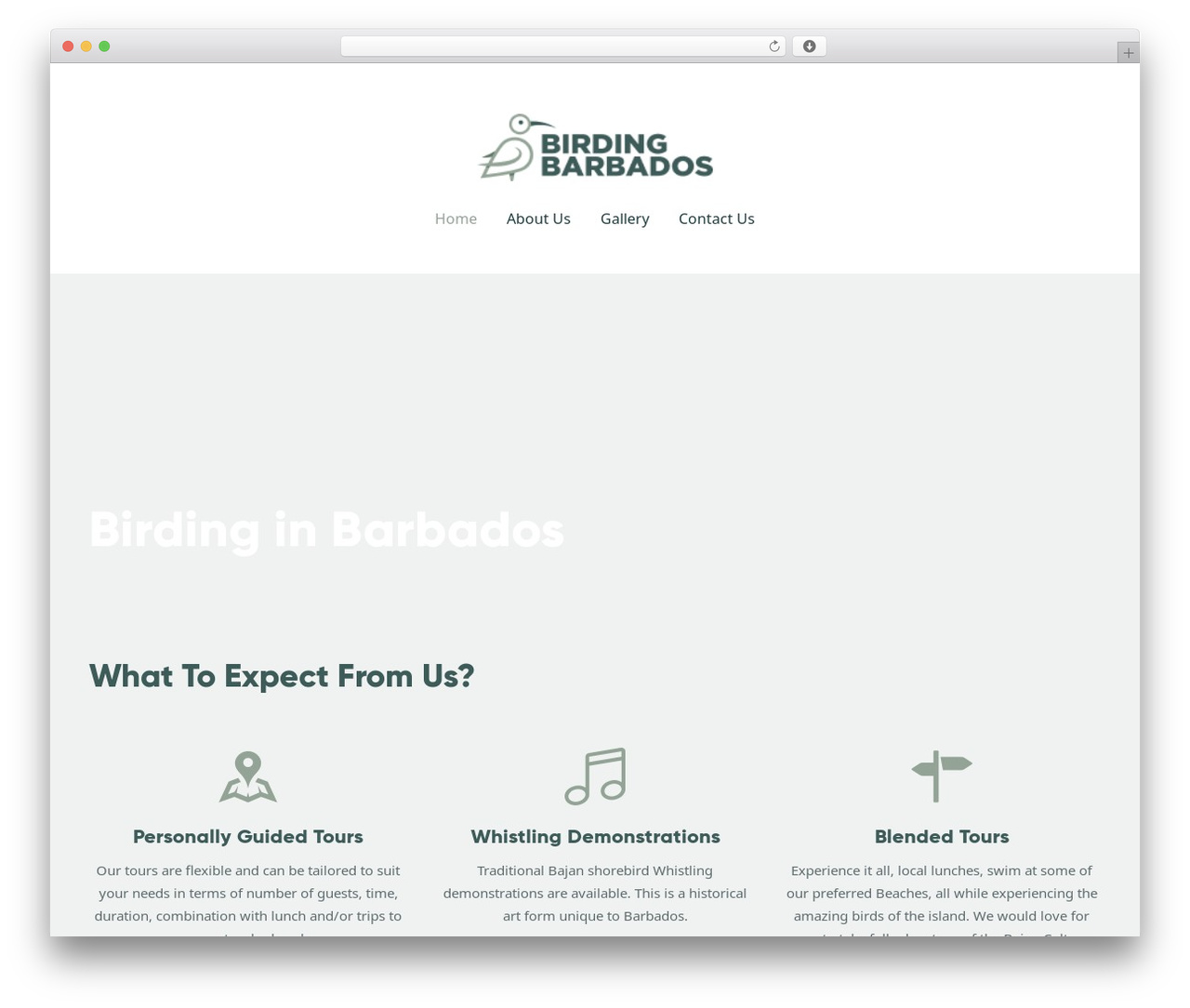 WordPress theme Yokoo - birdingbarbados.com WordPress theme Yokoo - birdingbarbados.com