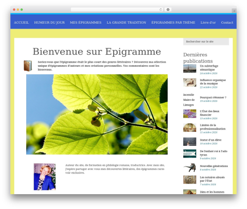WP theme Frida - epigramme.fr