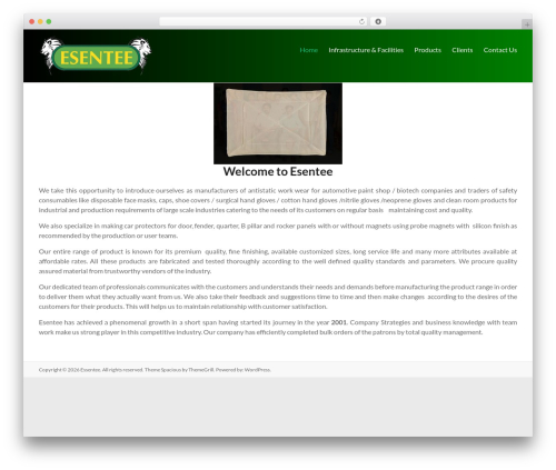 Spacious WordPress theme design - esentee.in