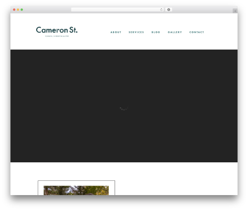 Photomosaic lightbox bridge responsive master WordPress plugin - cameronst.com