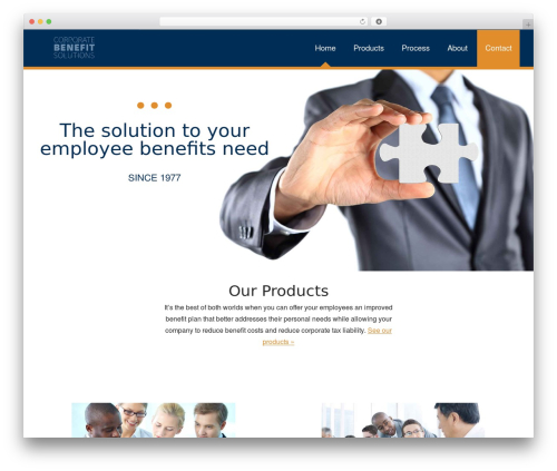 Theme WordPress CBS - cbsgroup.net