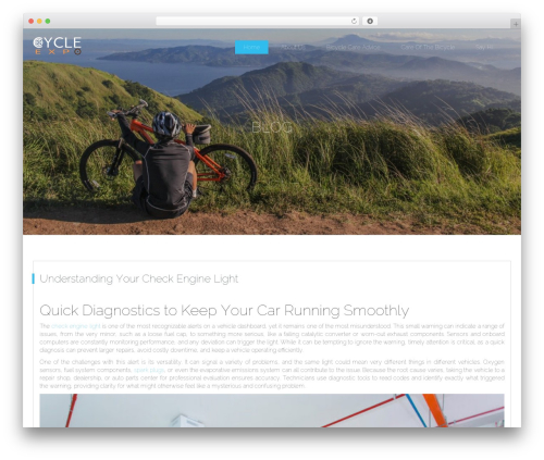 Web Development WP theme - cycle-expo.com Web Development WP theme - cycle-expo.com