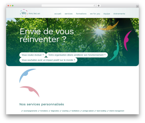 Social follow plus module WordPress plugin - we-reinvent.org