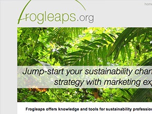 WordPress theme Frogleaps
