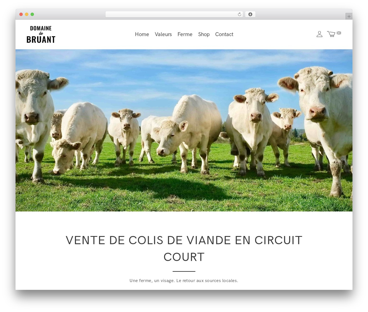 Halena WordPress theme - domainedebruant.be Halena WordPress theme - domainedebruant.be