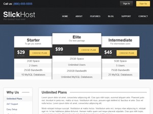 SlickHost WordPress theme by Desgined By Dash