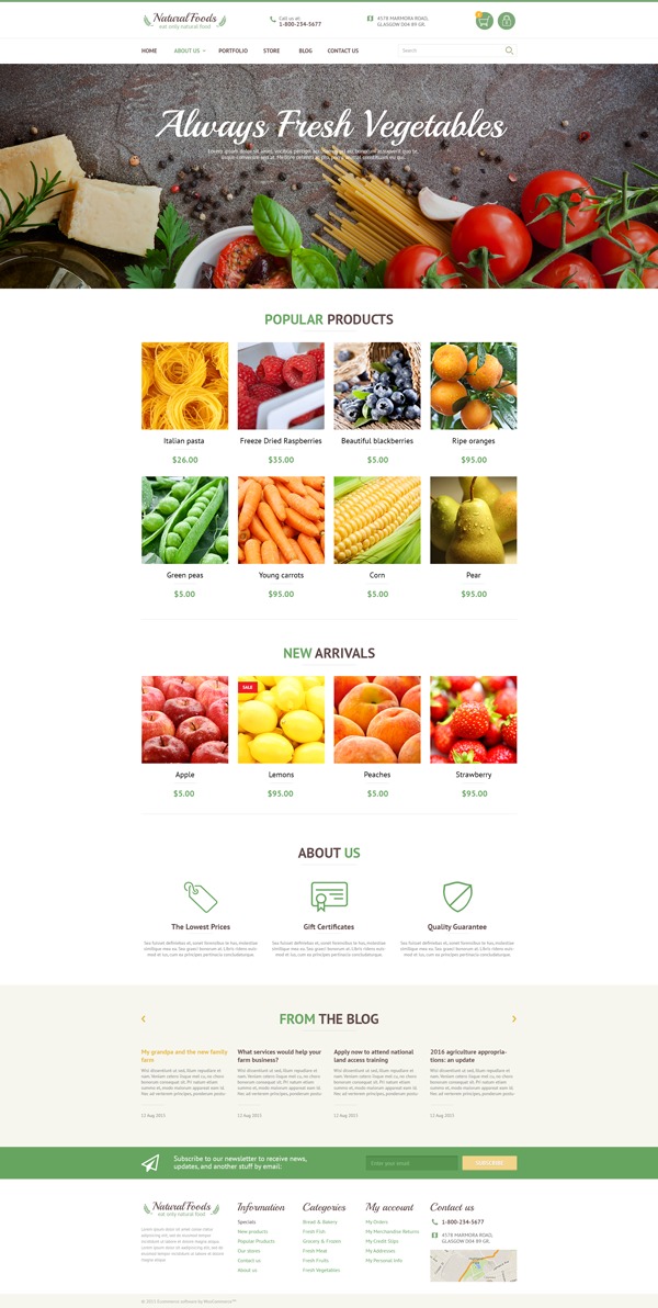 Theme WordPress theme55738 Theme WordPress theme55738