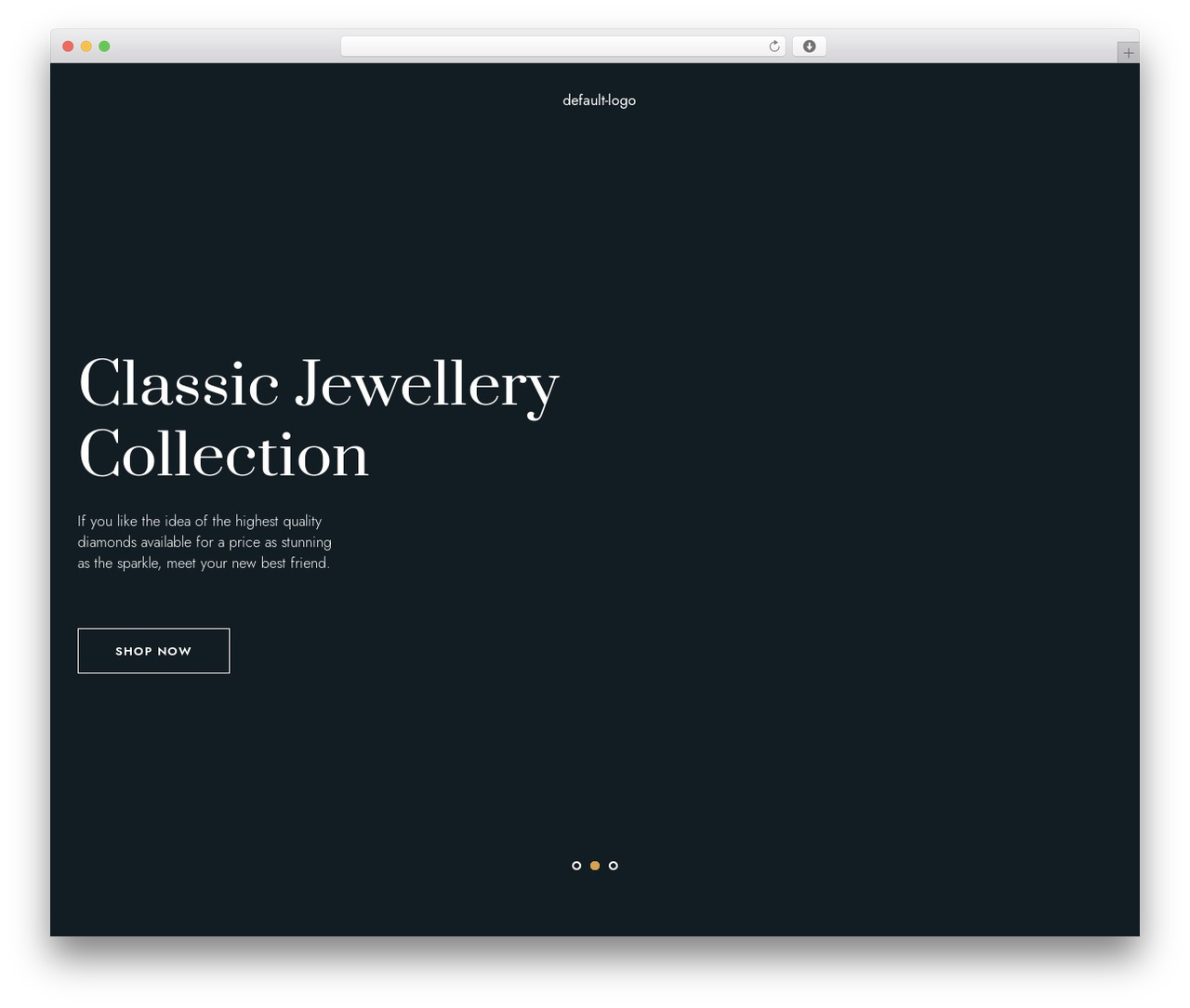 Aro WordPress theme - jewellerychoice.lk