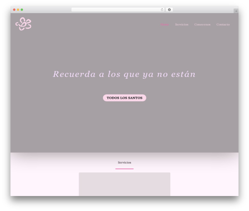 Social Feed Block for Instagram (social-feed-block) free WordPress plugin - florscarol.com Social Feed Block for Instagram (social-feed-block) free WordPress plugin - florscarol.com