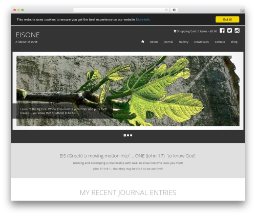Microposts WordPress plugin - eisone.co.uk