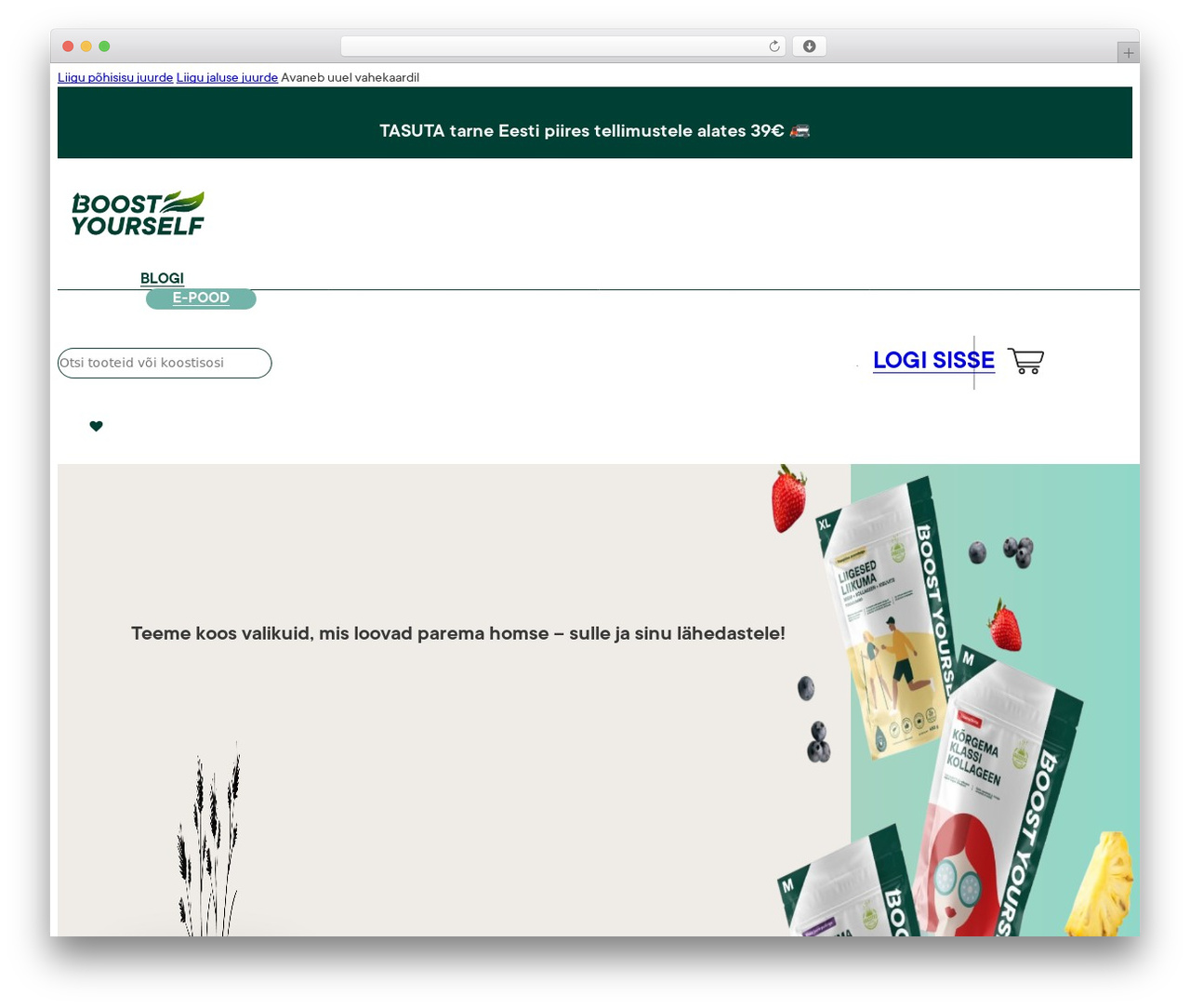 Bricks WordPress theme - boostyourself.ee Bricks WordPress theme - boostyourself.ee