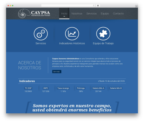 CAYPSA WordPress website theme - caypsa.com