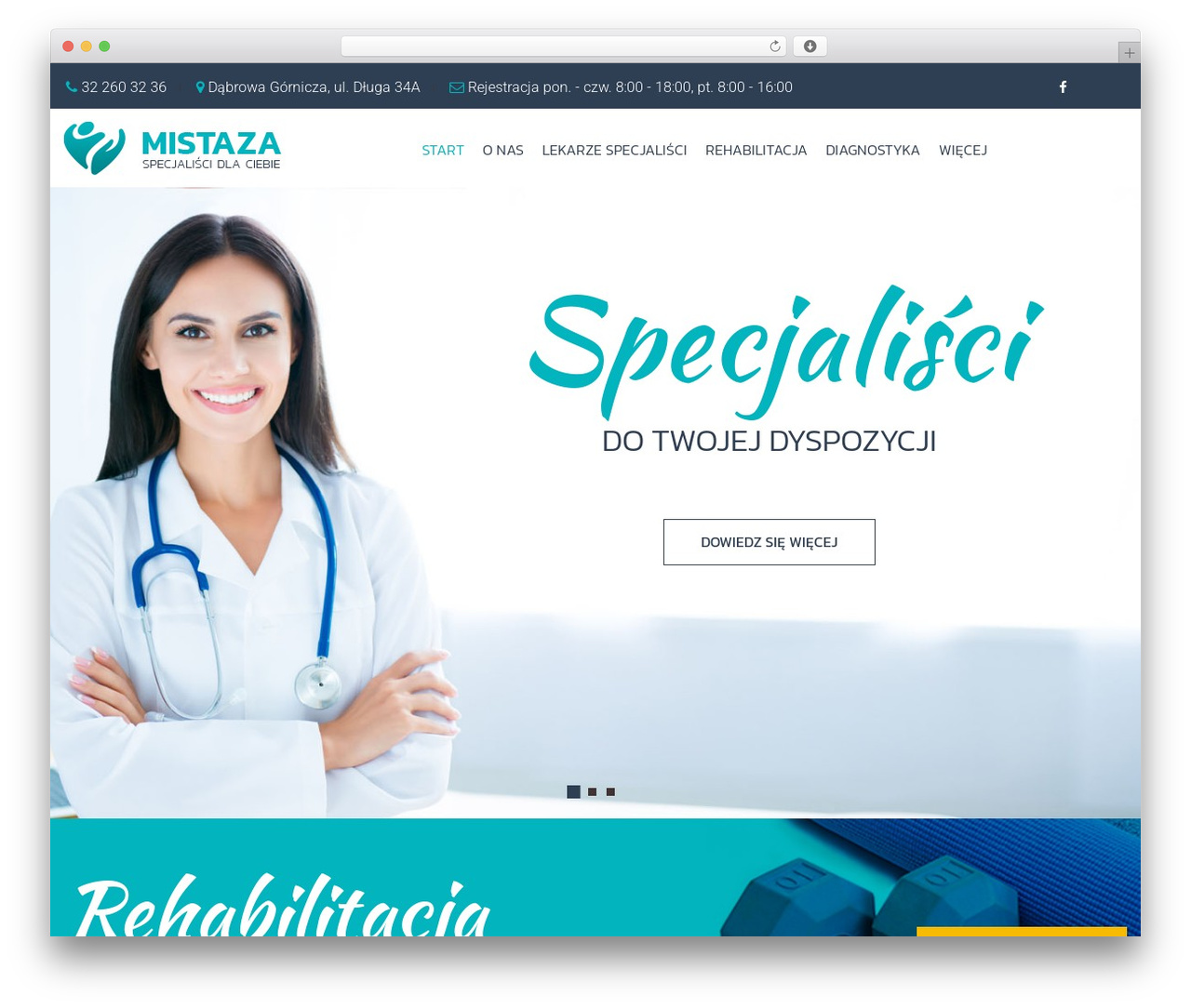 DropLbs WordPress theme - mistaza.pl