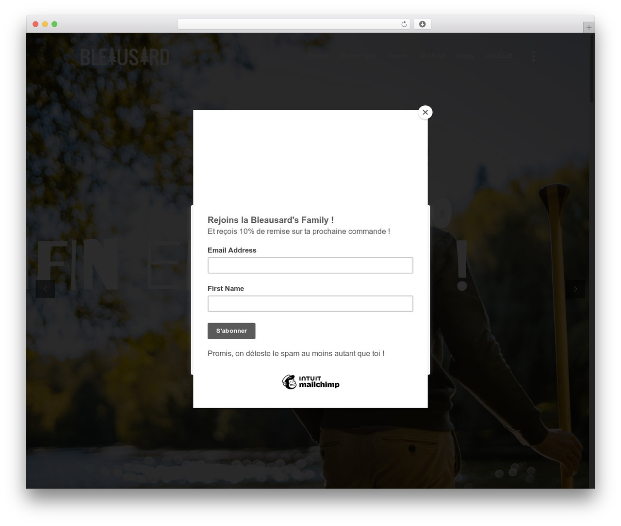 Ecologist theme WordPress - bleausard.com
