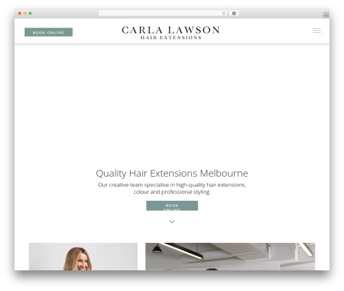 Johnnymaynardo Theme top WordPress theme - carlalawson.com