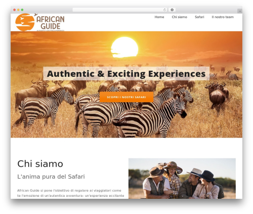 Raven WordPress plugin - african-guide.com