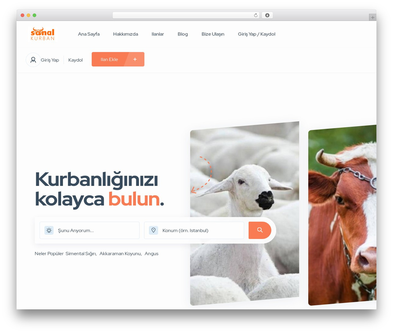 Listivo WordPress theme design - sanalkurban.com Listivo WordPress theme design - sanalkurban.com