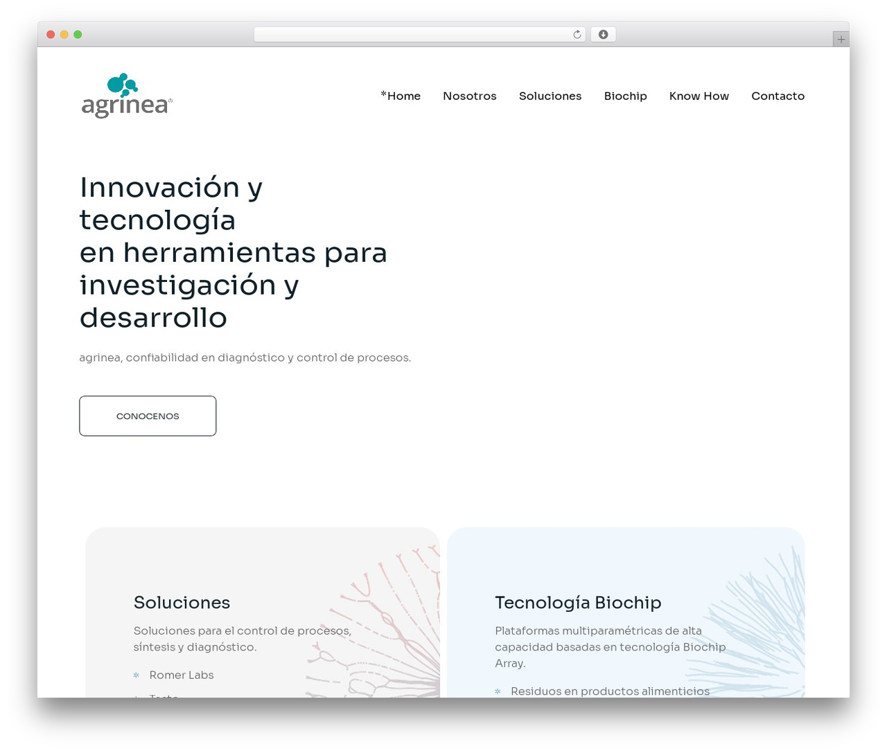 Marity WordPress theme - agrinea.com Marity WordPress theme - agrinea.com