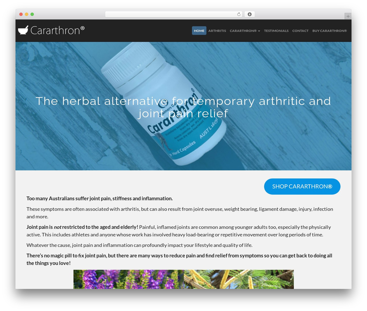Theme WordPress Cararthron - cararthron.com.au