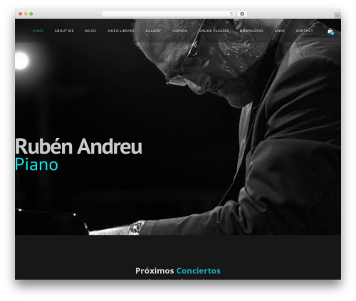 Lucille music core WordPress plugin - rubenandreu.com