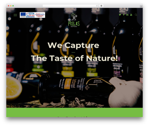 Theme WordPress OliveOil - pellasnature.com