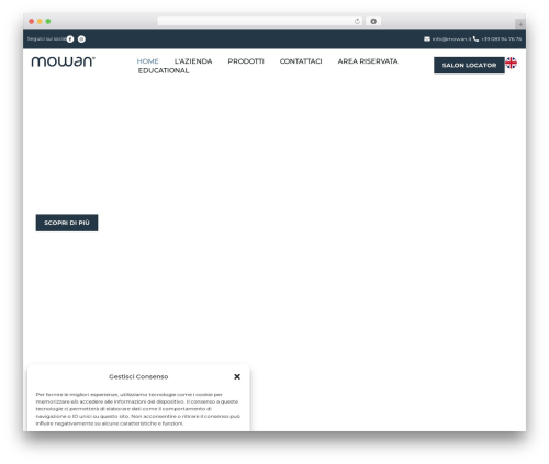 Wordpress store locator WordPress plugin - mowan.it