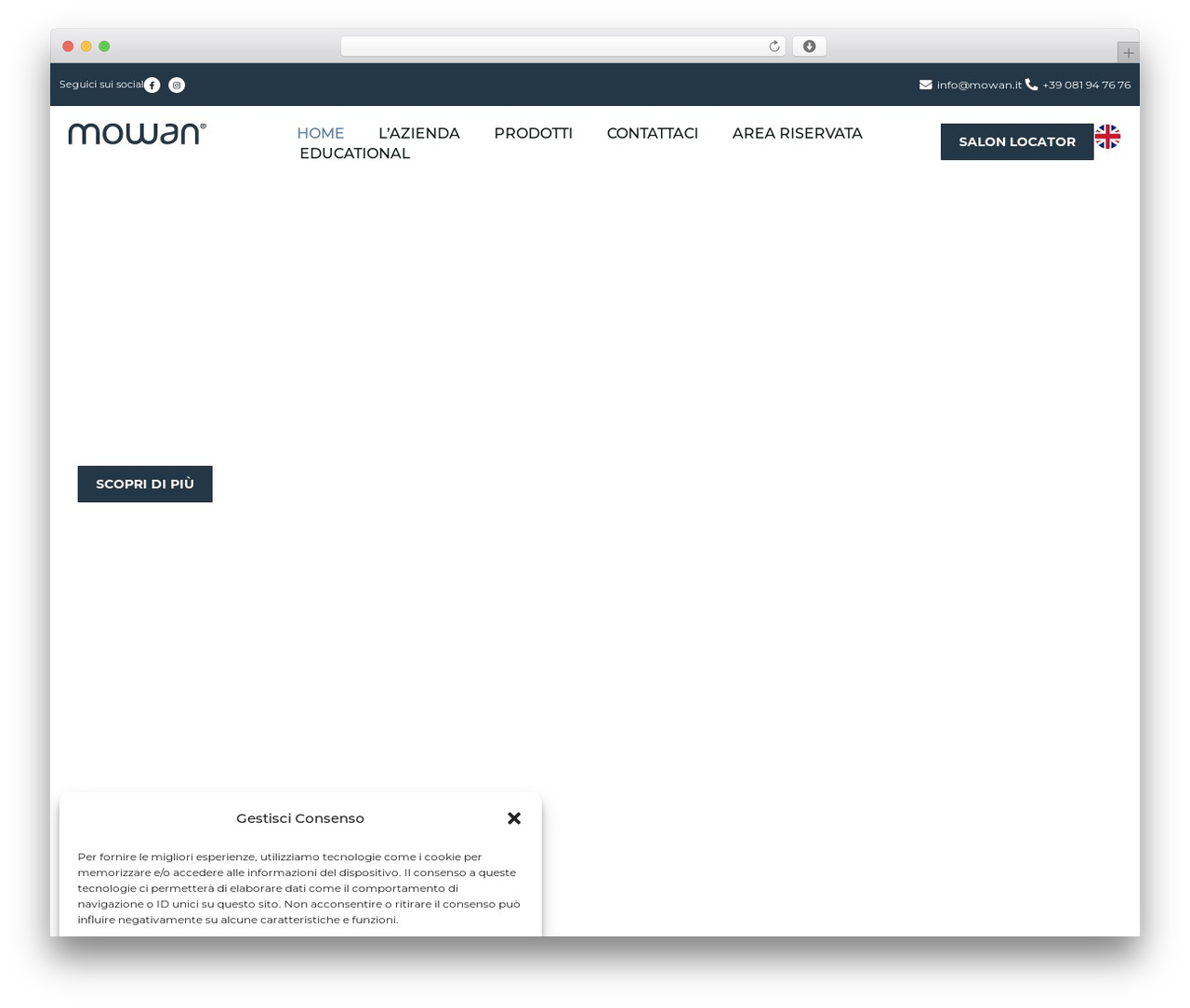 Theme WordPress The7 - mowan.it Theme WordPress The7 - mowan.it