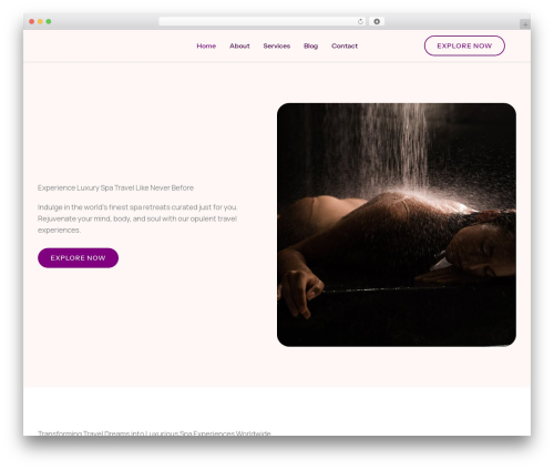 Sureforms WordPress plugin - dreamspas.com