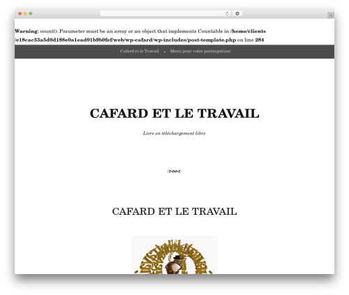 WordPress theme Book Lite - cafardetletravail.com/wp-cafard