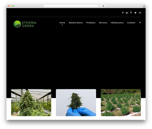 WordPress theme CannaMed - etheriagreen.com
