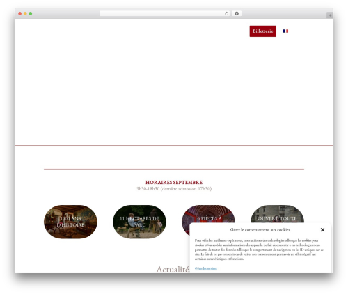 Complianz gdpr premium multisite WordPress plugin - chateau-de-langeais.com