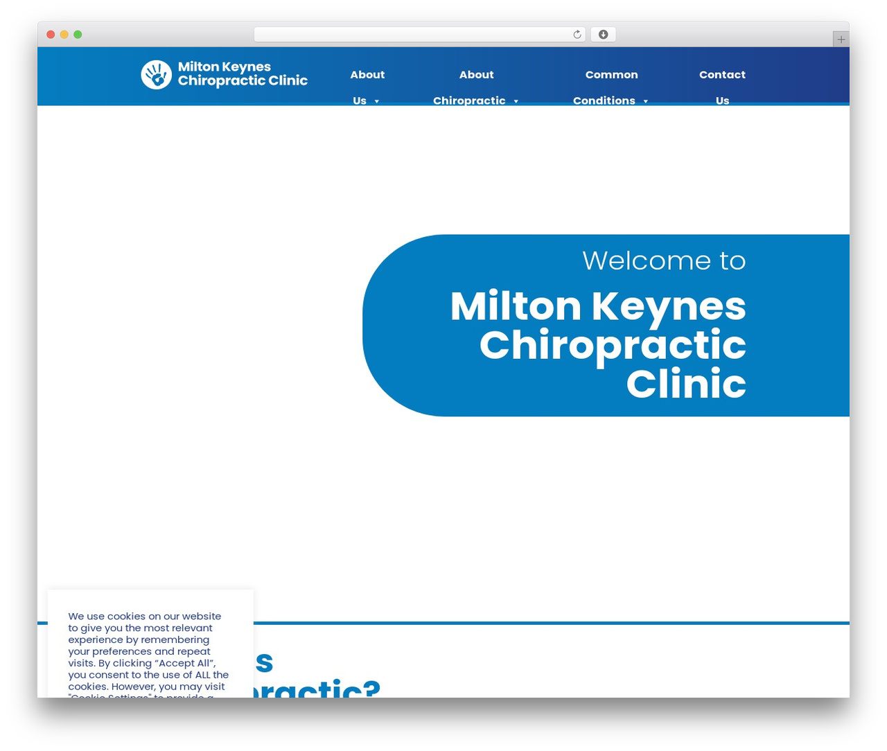 WordPress theme Hello Elementor - mkbackpain.com