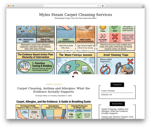 WordPress theme Writee - carpetsteamcleaning.co.uk