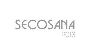 Cose theme WordPress Cose theme WordPress