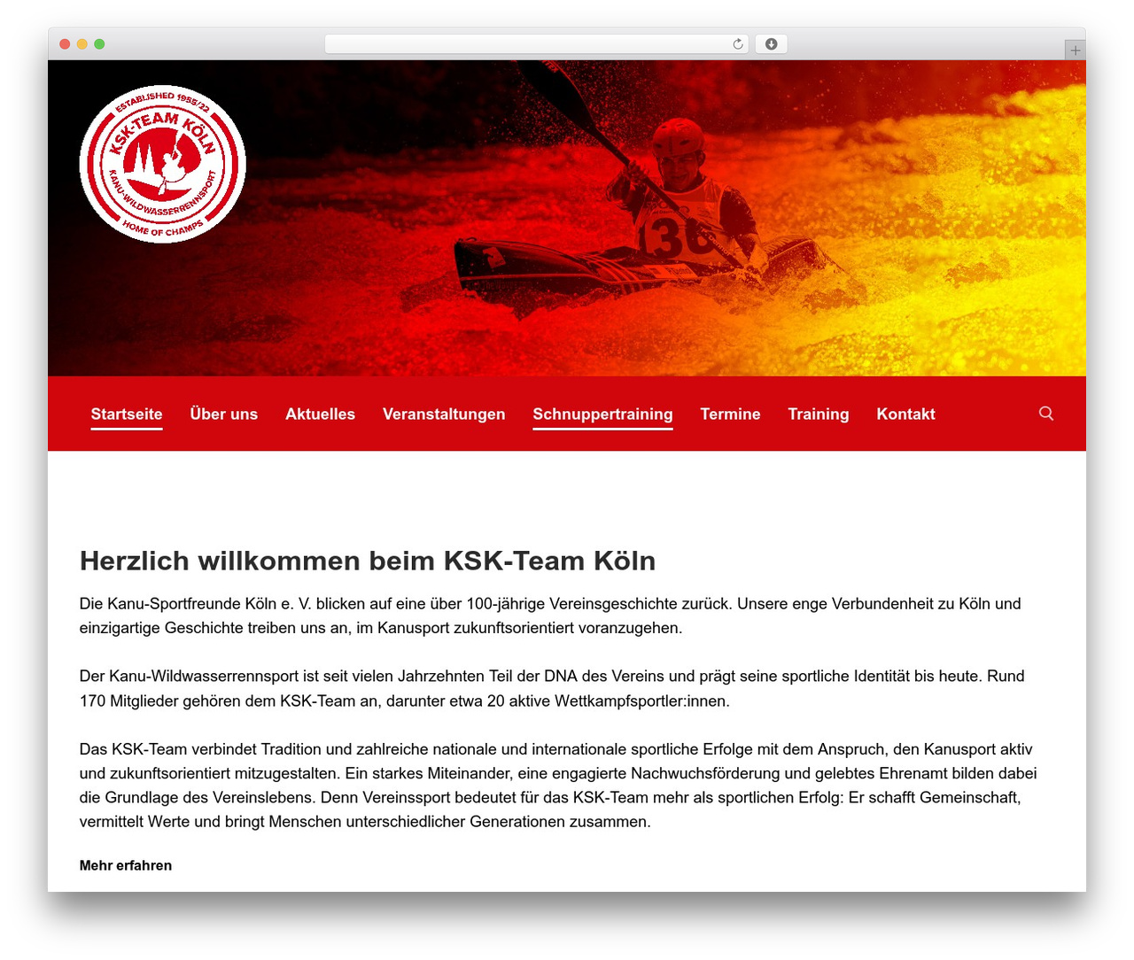 Customify theme WordPress - ksk-team.de