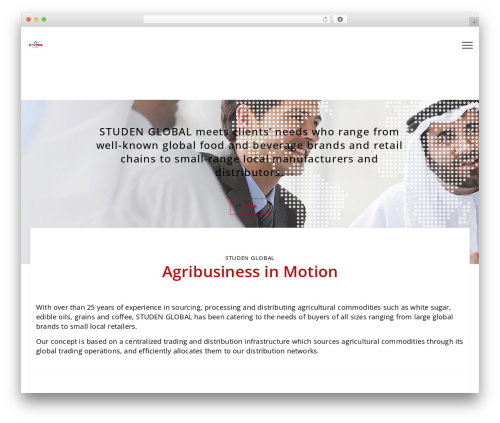 Fablio WordPress website theme - studen-global.com
