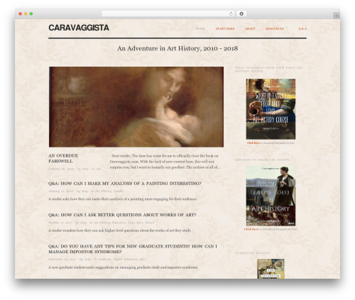 Q and a WordPress plugin - caravaggista.com