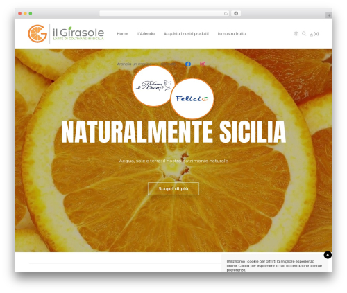 WordPress website theme Webify - ilgirasolearance.com