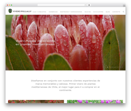 WP theme Float - viveropullally.cl