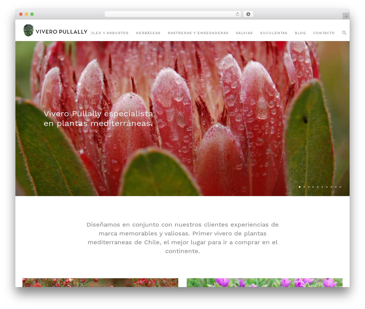 WP theme Float - viveropullally.cl WP theme Float - viveropullally.cl