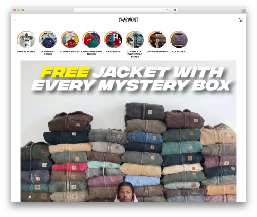 Bundler pro WordPress plugin - fragmentvntge.uk