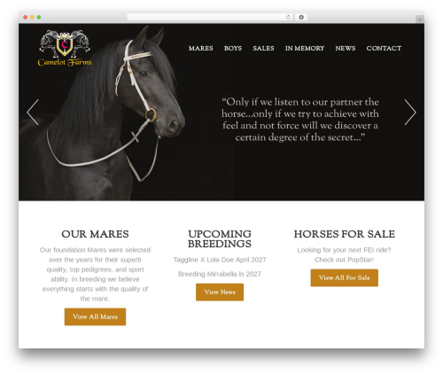 Grid Gallery with Custom Links (grid-gallery-with-custom-links) free WordPress plugin - camelothorses.com Grid Gallery with Custom Links (grid-gallery-with-custom-links) free WordPress plugin - camelothorses.com