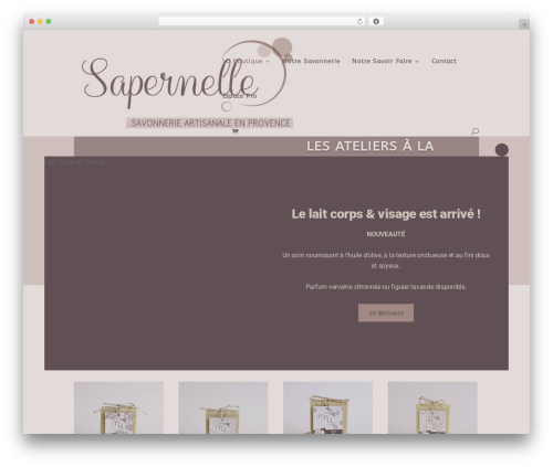 UPS, Mondial Relay & Chronopost for WooCommerce – WCMultiShipping (wc-multishipping) free WordPress plugin - sapernelle.com UPS, Mondial Relay & Chronopost for WooCommerce – WCMultiShipping (wc-multishipping) free WordPress plugin - sapernelle.com