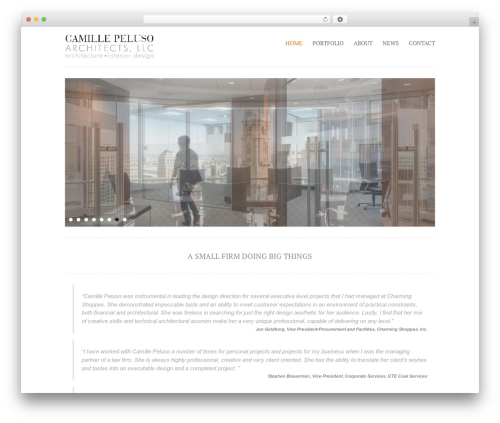 Purity theme WordPress - camillepelusoarchitects.com