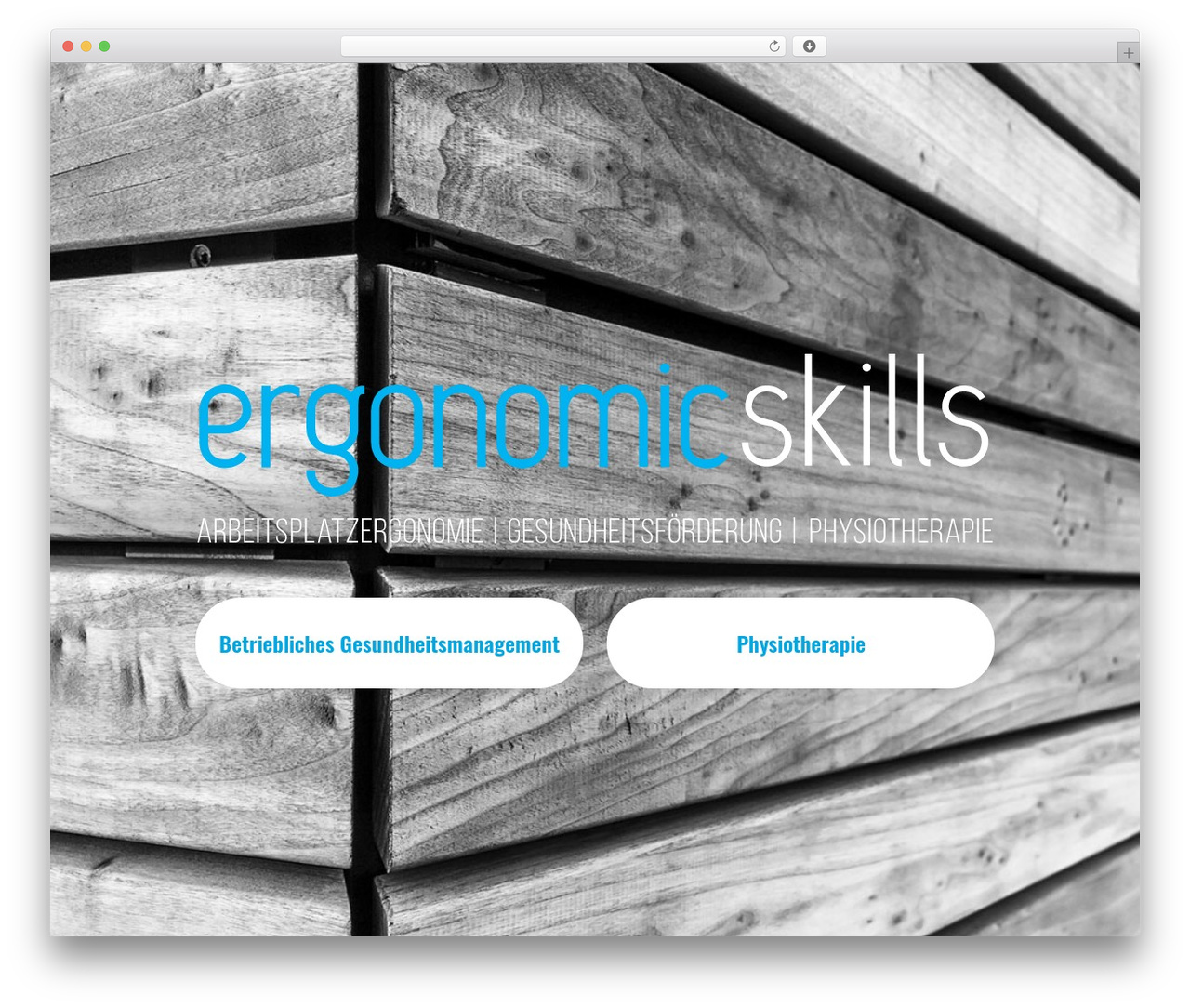 WordPress theme ES - ergonomic-skills.com
