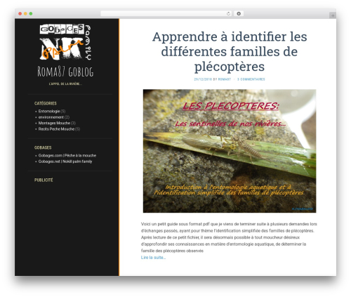 WordPress theme Flat - roma87.gobages.net