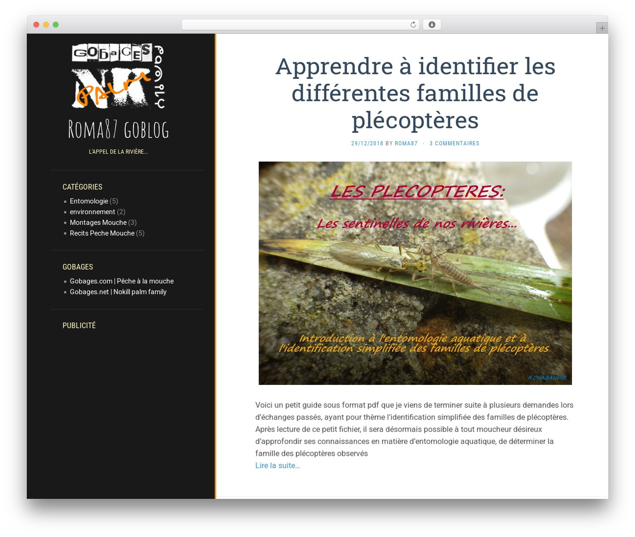 WordPress theme Flat - roma87.gobages.net WordPress theme Flat - roma87.gobages.net