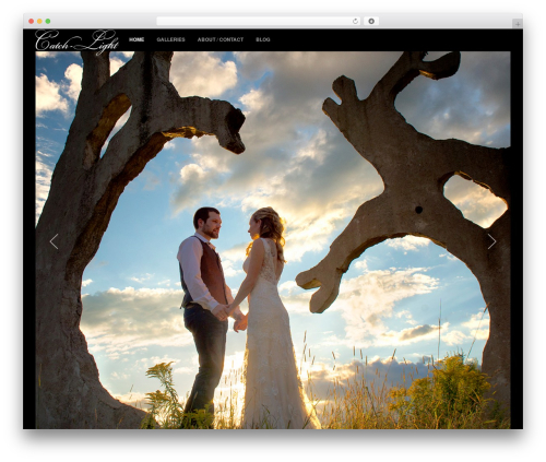 Artemis WordPress theme - catch-light.ca