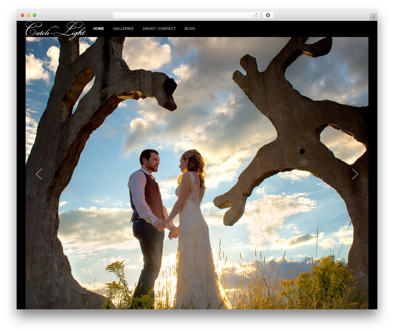 Artemis WordPress theme - catch-light.ca Artemis WordPress theme - catch-light.ca